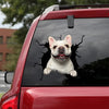 [da0228-snf-tnt]-french-bulldog-crack-car-sticker-dogs-lover