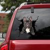 [da0218-snf-tnt]-french-bulldog-crack-car-sticker-dogs-lover