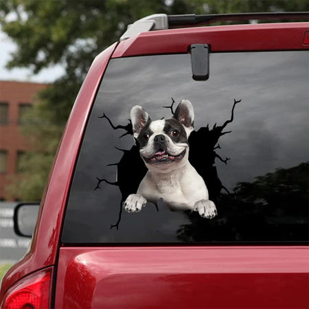 [da0223-snf-tnt]-french-bulldog-crack-car-sticker-dogs-lover