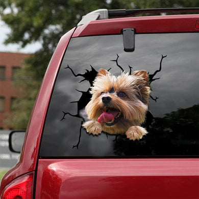 [sk1483-snf-lad]-yorkshire-crack-sticker-dogs-lover