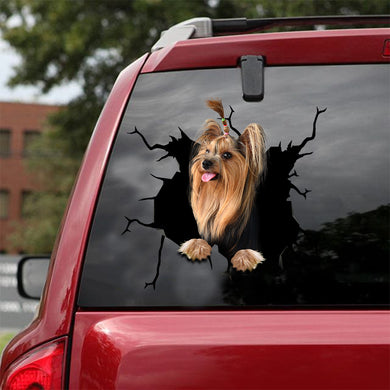 [sk1475-snf-lad]-yorkshire-crack-sticker-dogs-lover