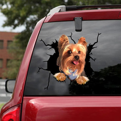 [sk1478-snf-lad]-yorkshire-crack-sticker-dogs-lover