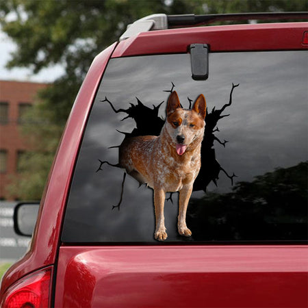 [ld0275-snf-lad]-australian-cattle-crack-car-sticker-dogs-lover