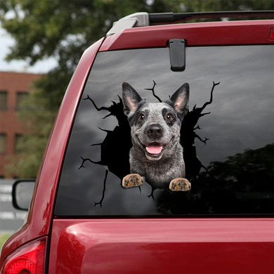 [ld0278-snf-lad]-australian-cattle-crack-car-sticker-dogs-lover