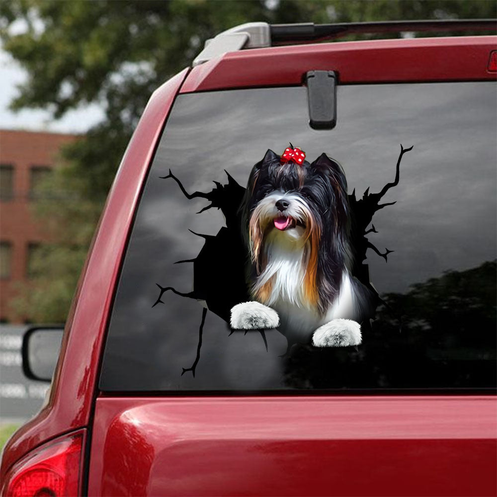 [ld0285-snf-lad]-biewer-terrier-crack-car-sticker-dogs-lover