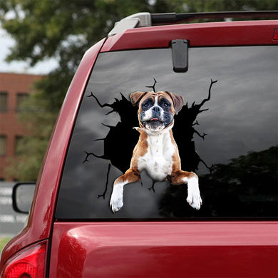 [ld0333-snf-lad]-boxer-crack-car-sticker