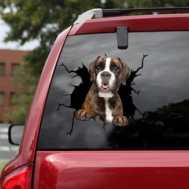 [ld0334-snf-lad]-boxer-crack-car-sticker