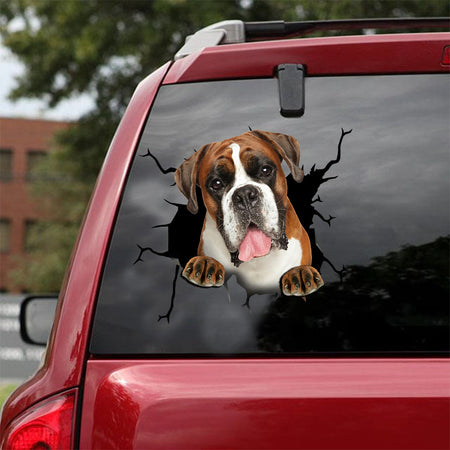 [ld0337-snf-lad]-boxer-crack-car-sticker