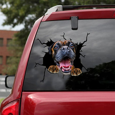 [ld0338-snf-lad]-boxer-crack-car-sticker