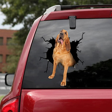 [ld0504-snf-lad]-bloodhound-crack-car-sticker-dogs-lover