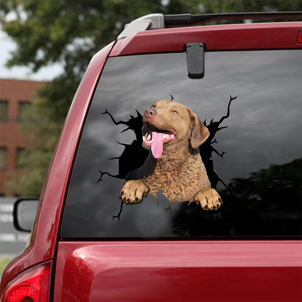 [ld0529-snf-lad]-chesapeake-bay-retriever-crack-car-sticker-dogs-lover