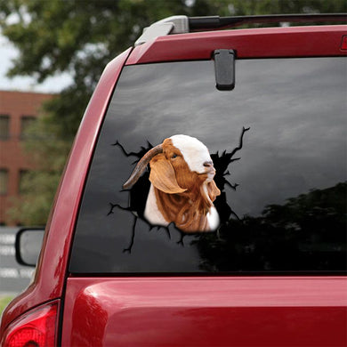 [sk1534-snf-tpa]-boer-goat-crack-sticker-cattle-lover