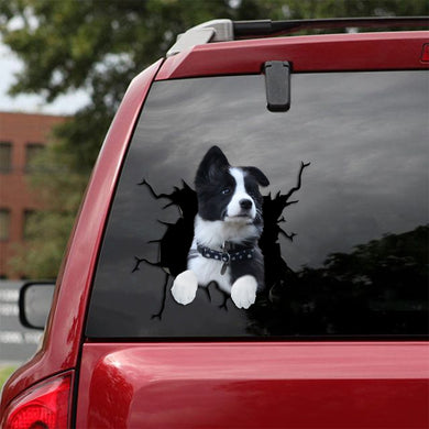 [sk1716-snf-tpa]-border-collie-crack-car-sticker-dogs-lover