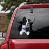 [sk1716-snf-tpa]-border-collie-crack-car-sticker-dogs-lover
