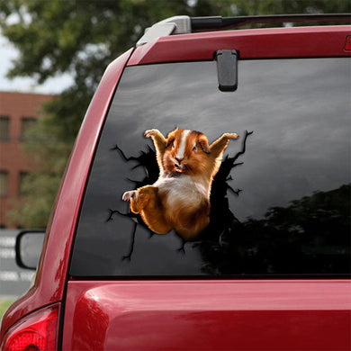 [th0167-snf-tpa]-guinea-pig-crack-car-sticker-