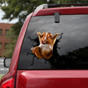 [th0167-snf-tpa]-guinea-pig-crack-car-sticker-