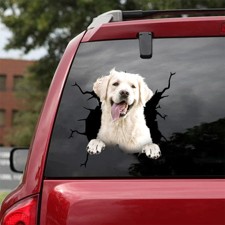 Golden Retriever Crack Sticker Sheets Cool Thank You Stickers Graduation Gifts For Her