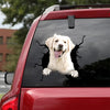 [da0234-snf-tnt]-golden-retriever-crack-car-sticker-dogs-lover