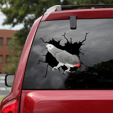 [ld0752-snf-lad]-african-grey-crack-car-sticker-birds-lover