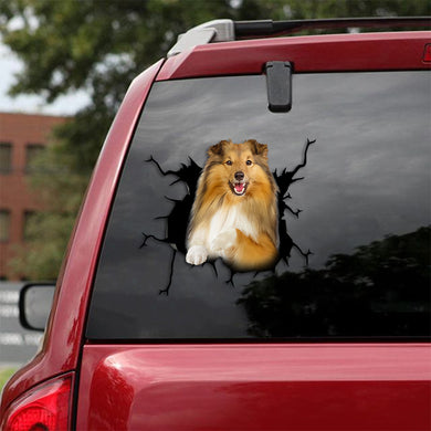 [th0380-snf-tpa]-shetland-sheepdog-crack-car-sticker-dogs-lover