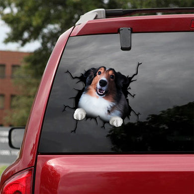 [th0381-snf-tpa]-shetland-sheepdog-crack-car-sticker-dogs-lover