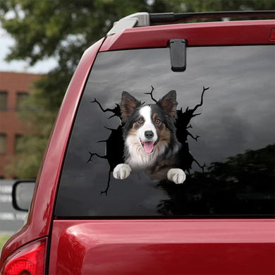 [da0821-snf-tnt]-border-collie-crack-car-sticker-dogs-lover