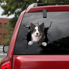 [da0821-snf-tnt]-border-collie-crack-car-sticker-dogs-lover