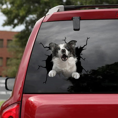 [da0812-snf-tnt]-border-collie-crack-car-sticker-dogs-lover