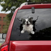 [da0812-snf-tnt]-border-collie-crack-car-sticker-dogs-lover