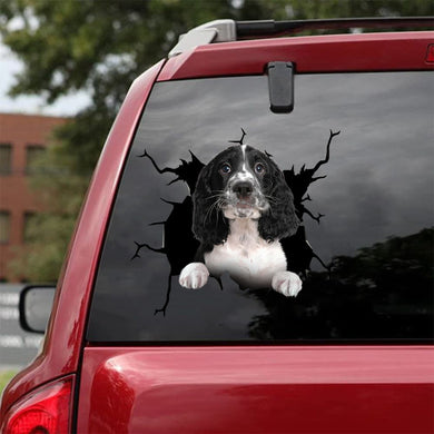[da0834-snf-tnt]-english-springer-spaniel-crack-car-sticker-dogs-lover