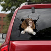 [da0836-snf-tnt]-english-springer-spaniel-crack-car-sticker-dogs-lover