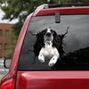 [da0841-snf-tnt]-english-springer-spaniel-crack-car-sticker-dogs-lover