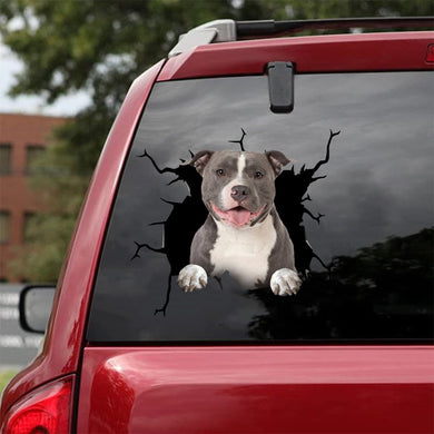 [da0829-snf-tnt]-staffordshire-bull-terrier-crack-car-sticker-dogs-lover