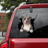 [da0829-snf-tnt]-staffordshire-bull-terrier-crack-car-sticker-dogs-lover