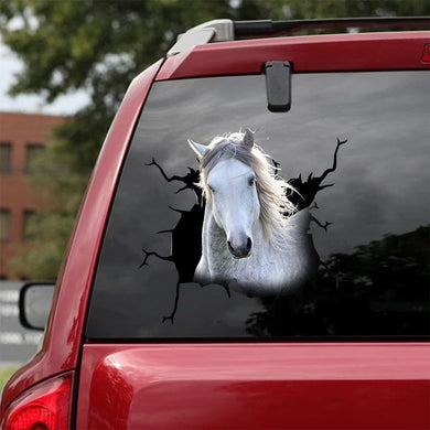 [da0251-snf-tnt]-mustang-horse-crack-car-sticker