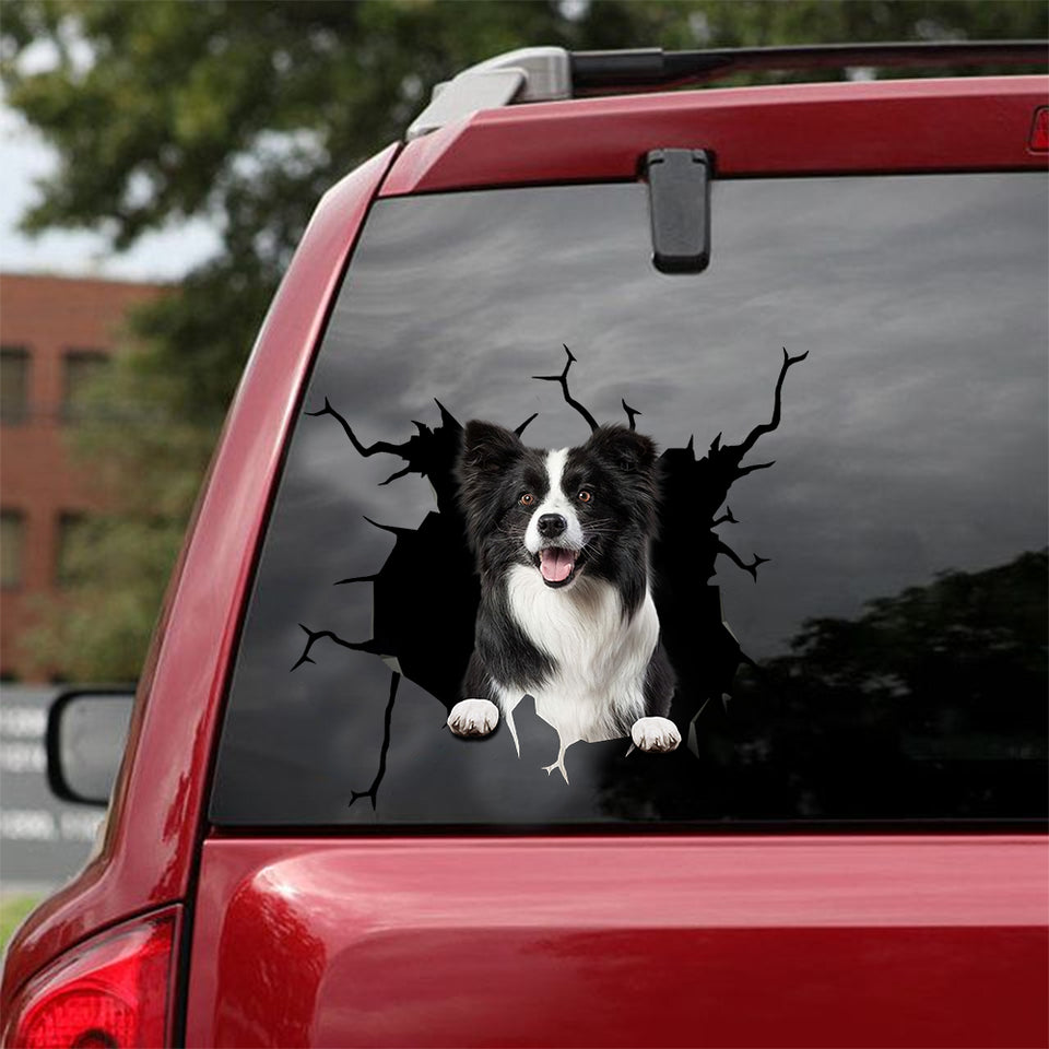 [sk0526-snf-tnt]-border-collie-crack-car-sticker-dogs-lover