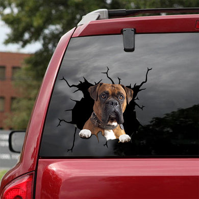[sk0525-snf-tnt]-boxer-crack-car-sticker-dogs-lover