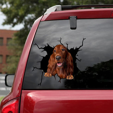 [sk0538-snf-tnt]-irish-setter-crack-car-sticker-dogs-lover