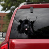 [sk0543-snf-tnt]-newfoundland-crack-car-sticker-dogs-lover
