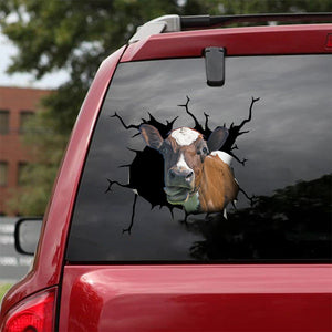 [bv0140-snf-ptd]-ayrshire-cow-crack-car-sticker-cattle-lover