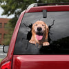 [sk1503-snf-lad]-golden-retriever-crack-car-sticker-dogs-lover