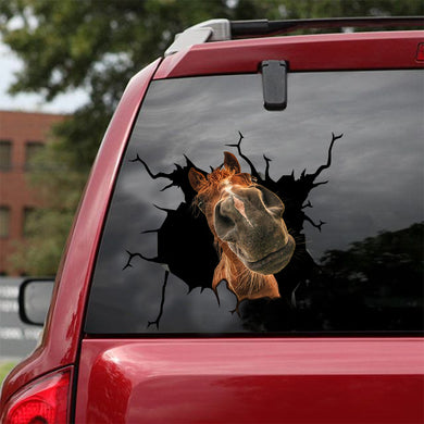 [sk0890-snf-lad]-funny-horse-crack-car-sticker-animals-lover