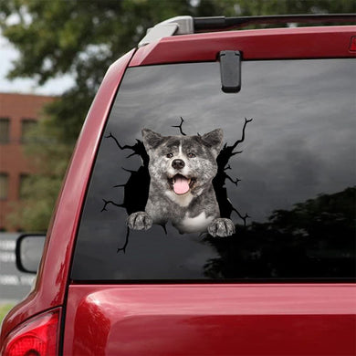 [da1002-snf-tnt]-akita-crack-car-sticker-dogs-lover