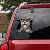 [da1002-snf-tnt]-akita-crack-car-sticker-dogs-lover