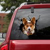 [sk1585-snf-lad]-corgi-crack-car-sticker-dogs-lover
