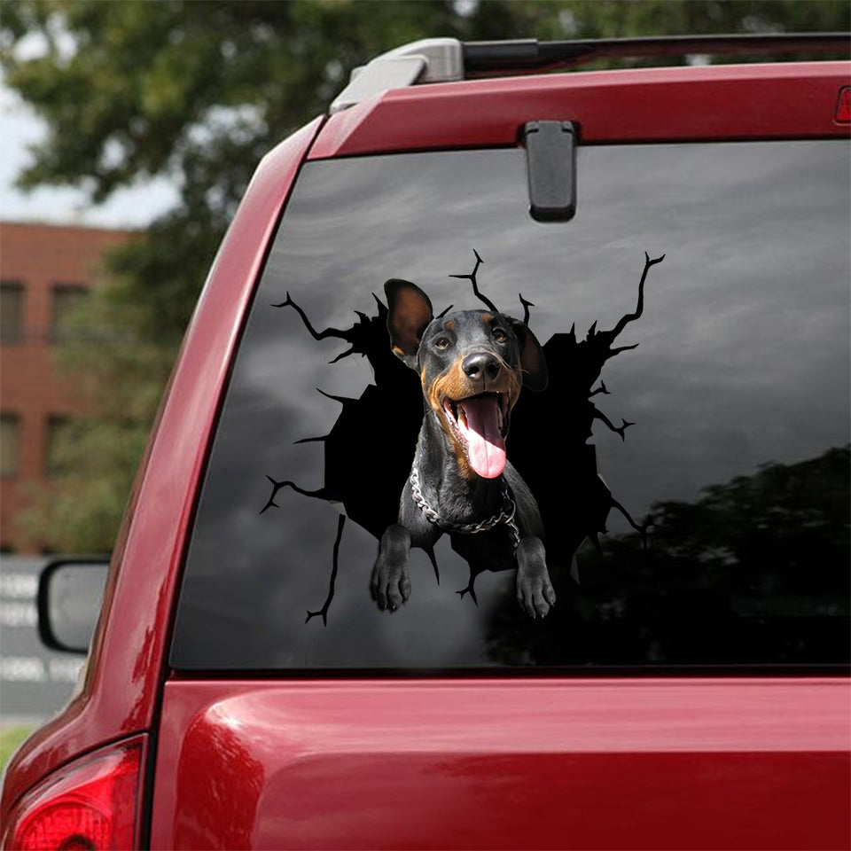 [sk1744-snf-lad]-dobermann-crack-car-sticker-dogs-lover