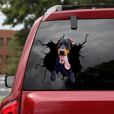 [sk1745-snf-lad]-dobermann-crack-car-sticker-dogs-lover