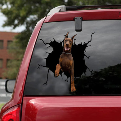 [sk1746-snf-lad]-dobermann-crack-car-sticker-dogs-lover