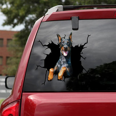 [sk1747-snf-lad]-dobermann-crack-car-sticker-dogs-lover