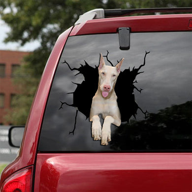 [sk1748-snf-lad]-dobermann-crack-car-sticker-dogs-lover